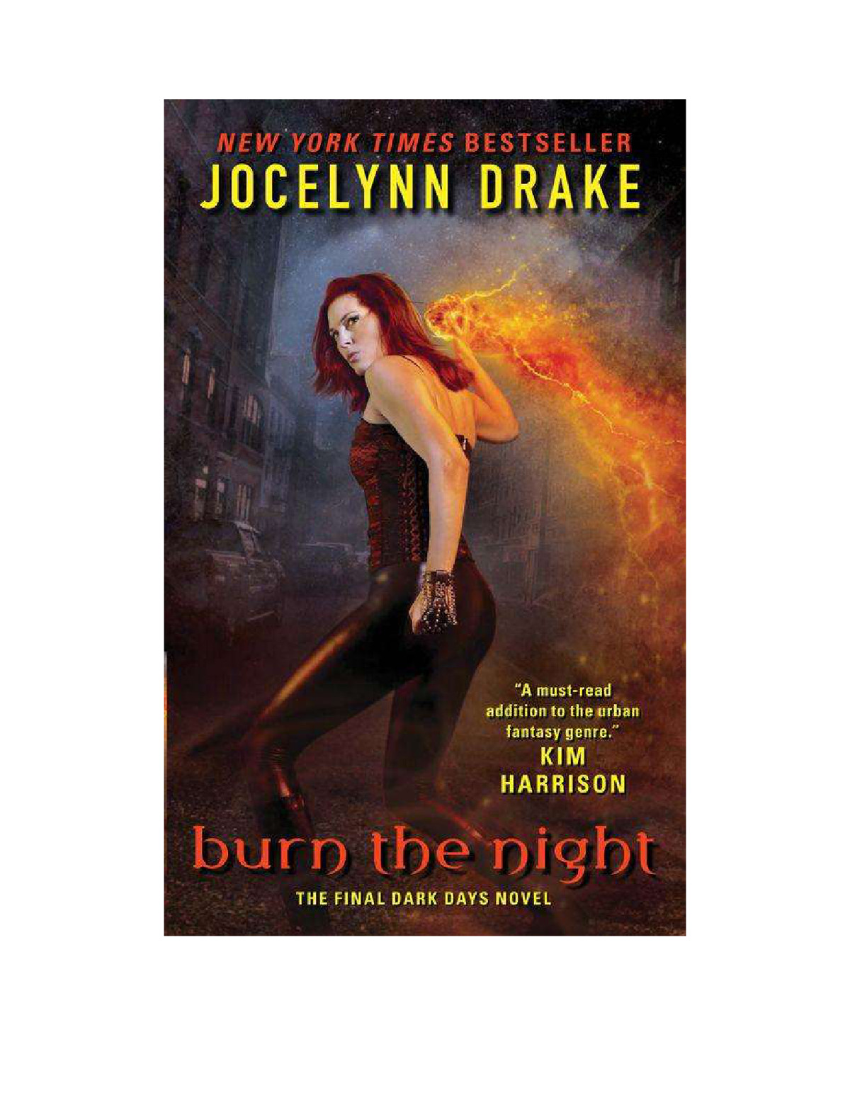 Burn the Night: The Final Dark Days Novel (Dark Days Series)