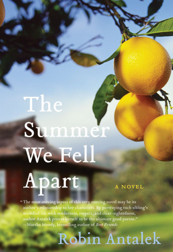 The Summer We Fell Apart