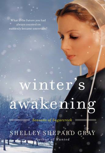 Winter's Awakening