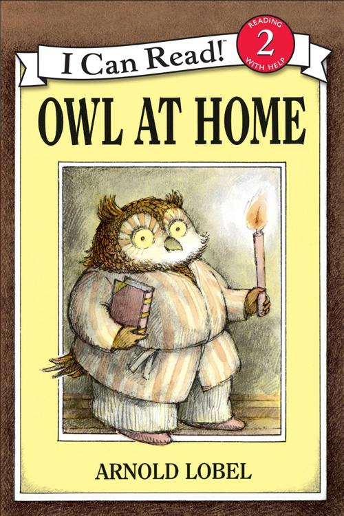 Owl at Home