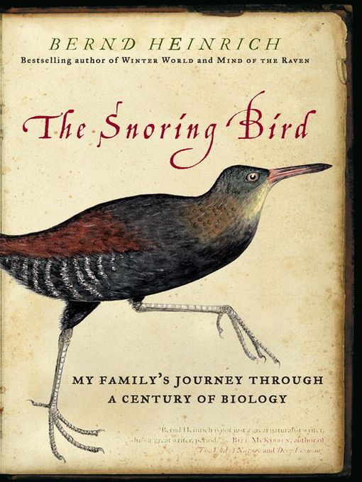 The Snoring Bird