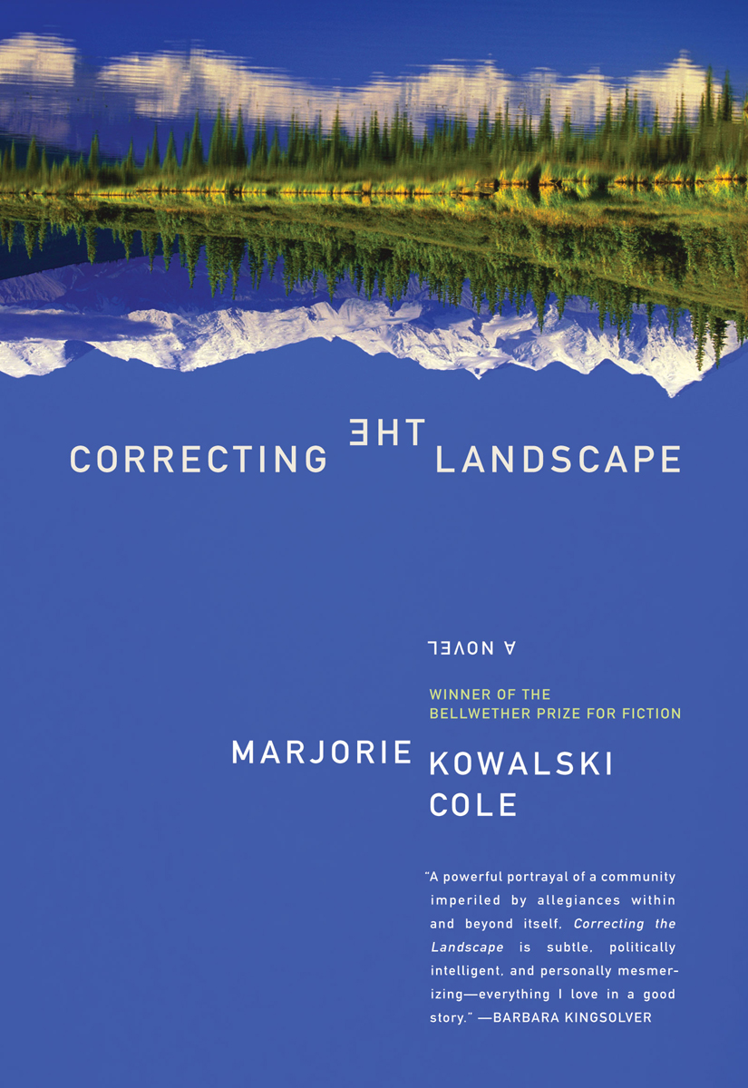 Correcting the Landscape