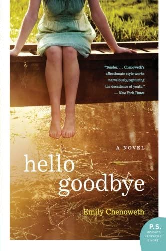 Hello Goodbye: A Novel