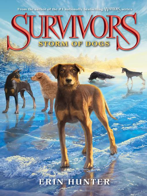 Storm of Dogs