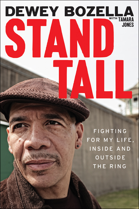 Stand Tall: Fighting for My Life, Inside and Outside the Ring