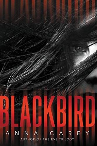 Blackbird (Blackbird, 1)