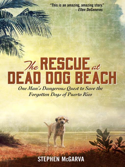 The Rescue at Dead Dog Beach