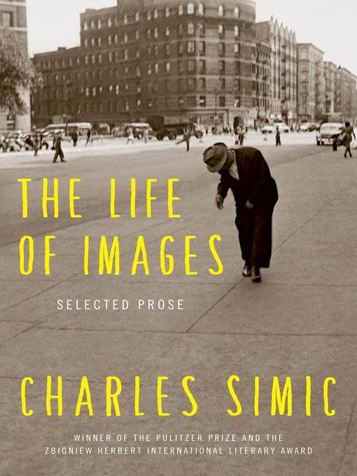 The Life of Images