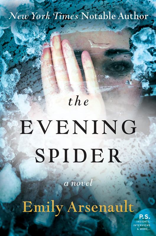 The Evening Spider: A Novel