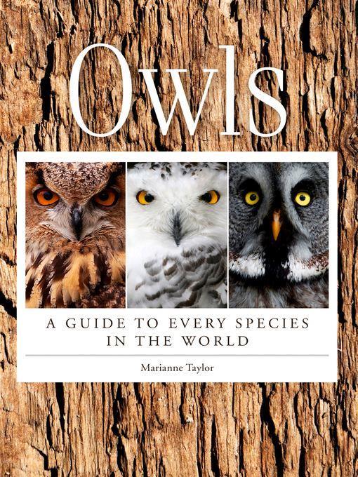 Owls