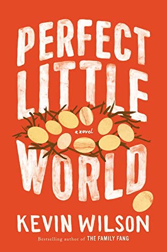 Perfect Little World: A Novel