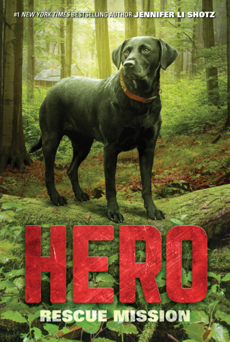 Hero: Rescue Mission (Hero, 3)