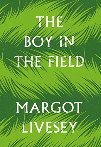 The Boy in the Field: A Novel