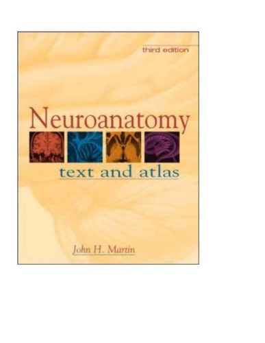 Neuroanatomy