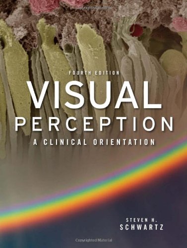 Visual Perception