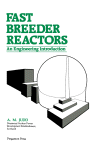 Fast Breeder Reactors