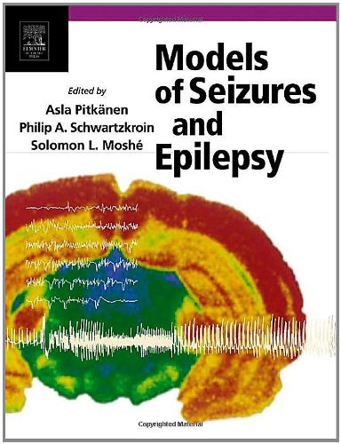 Models of Seizures and Epilepsy