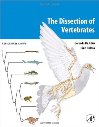 The Dissection of Vertebrates