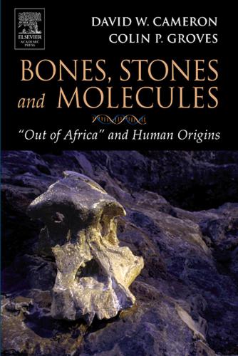 Bones, Stones and Molecules