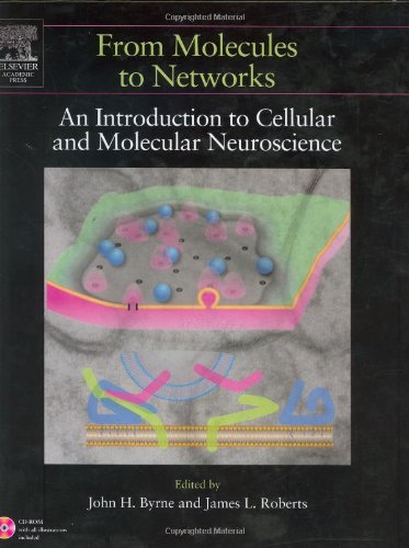 From Molecules to Networks