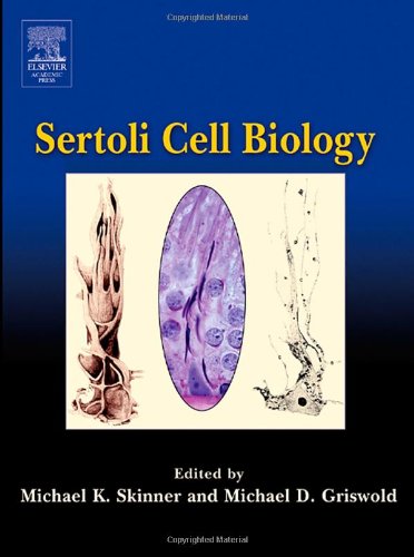 Sertoli Cell Biology