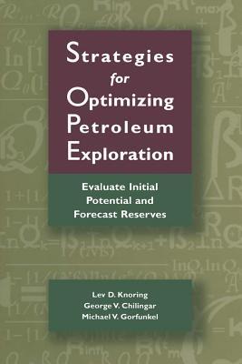 Strategies for Optimizing Petroleum Exploration