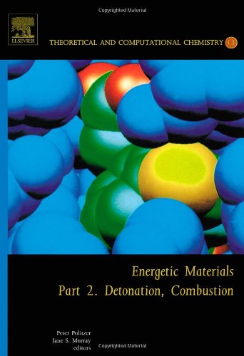 Theoretical and Computational Chemistry, Volume 13