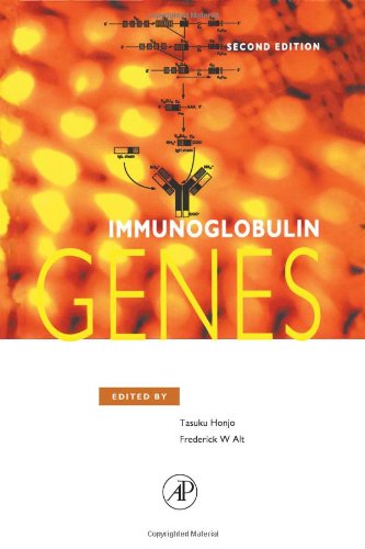 Immunoglobulin Genes