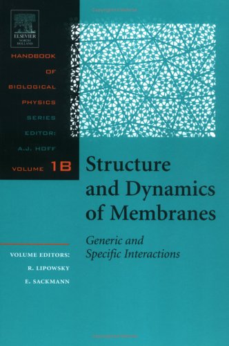 Structure and Dynamics of Membranes