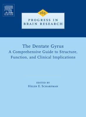 The Dentate Gyrus