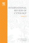 International Review of Cytology, Volume 20