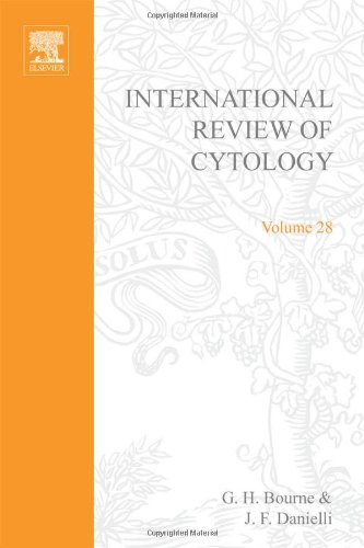 International Review of Cytology, Volume 28