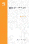 The Enzymes, Volume VII