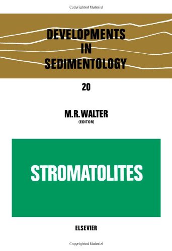 Stromatolites