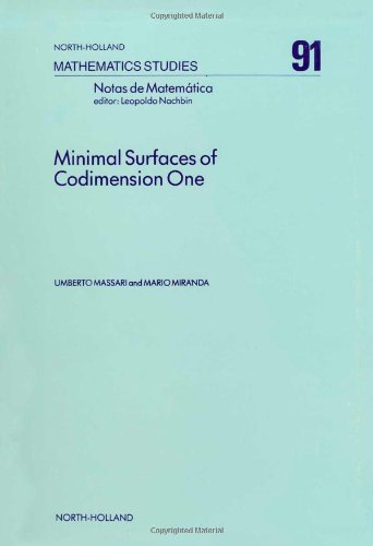 Minimal Surfaces of Codimension One