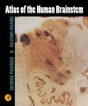 Atlas of the Human Brainstem
