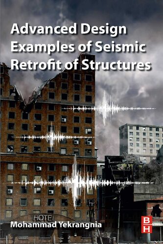 Advanced Design Examples of Seismic Retrofit of Structures