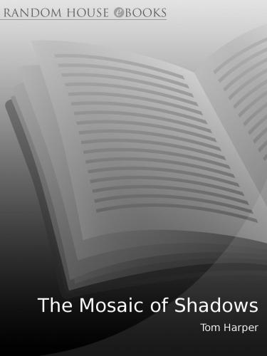 The Mosaic of Shadows