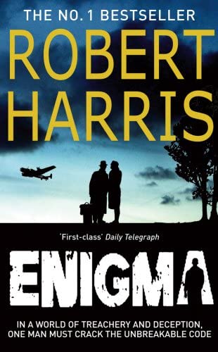 Enigma : A Novel