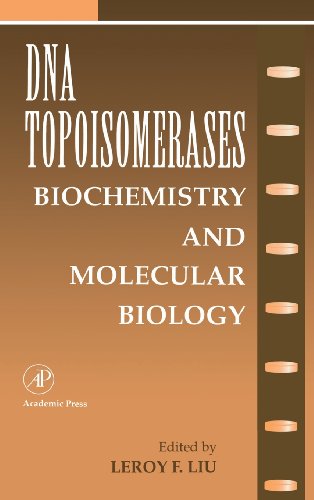 DNA Topoisomearases