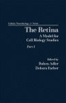 The Retina