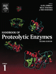 Handbook of Proteolytic Enzymes