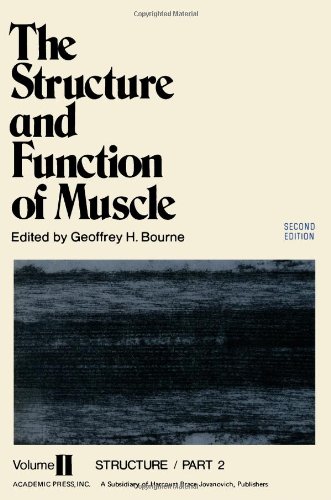 The structure and function of muscle