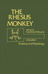 The Rhesus Monkey