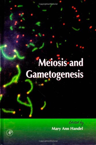 Meiosis and Gametogenesis