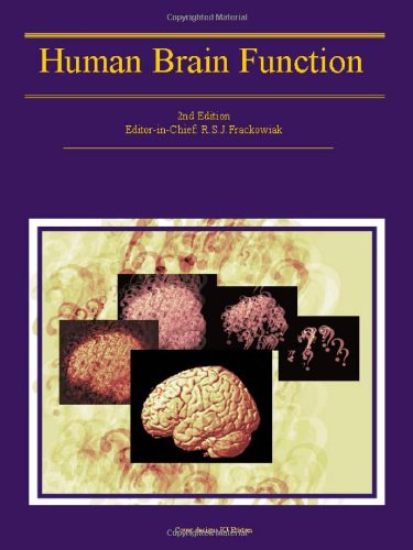 Human Brain Function