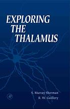 Exploring the Thalamus