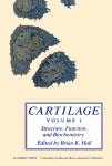 Cartilage