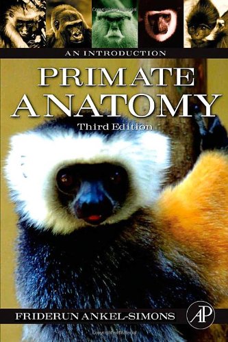 Primate Anatomy