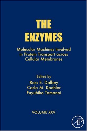 The Enzymes, 25